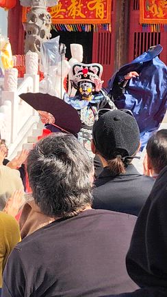 わんことお出かけ♪トイプー初めての飛行機旅の記事動画