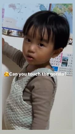2024/11/15の記事動画