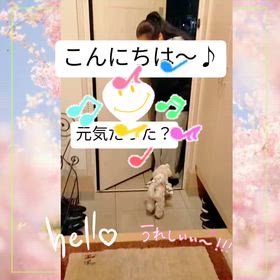守山　音楽教室　受験組が戻って喜びの舞♪の画像