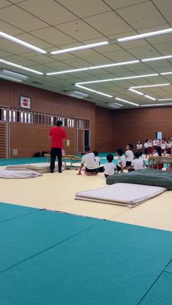 ミニトラの記事動画