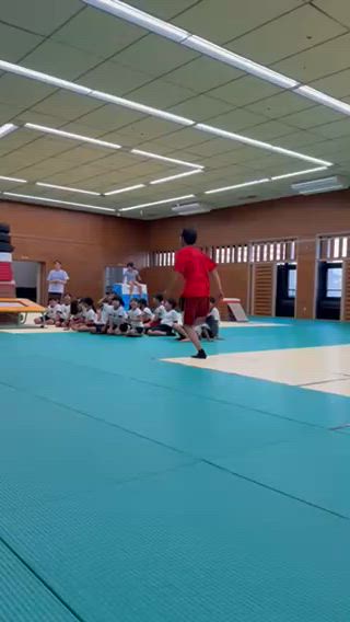 チャレンジ跳び箱　アシスタントさんverの記事動画