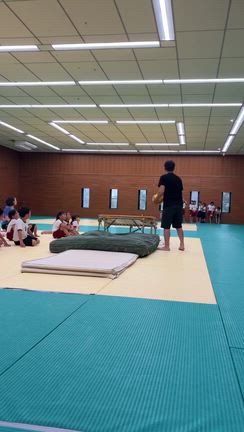 ミニトラの記事動画
