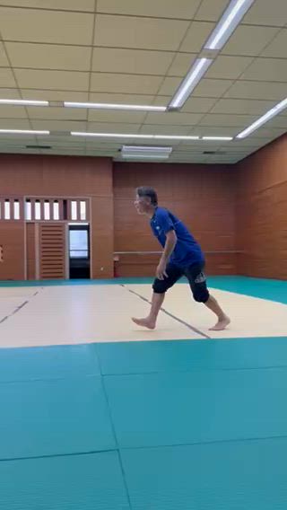 チャレンジ跳び箱　アシスタントさんverの記事動画