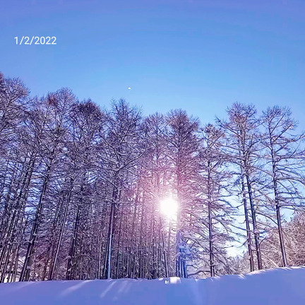 ●長野県・竜王スキーパークへ（お正月・家族旅行）の記事動画