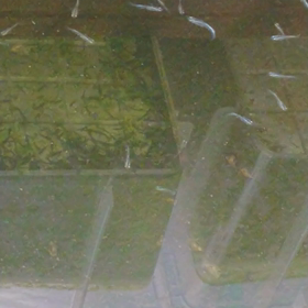 雨ですね…の画像