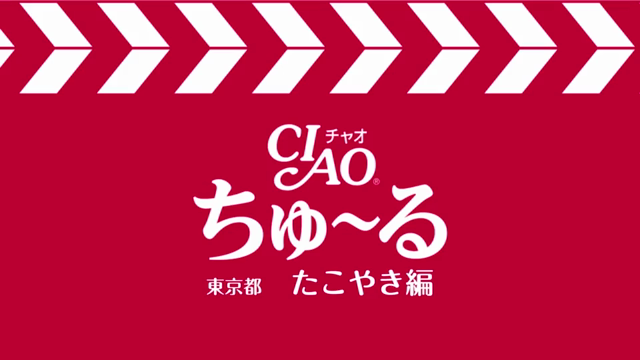９月２７日　水曜日　晴れのちくもり　北斗の拳の記事動画