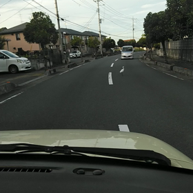 野生の白鷺ですよね？？？の画像