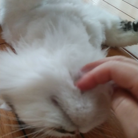 また、雨が降ってきた！の画像