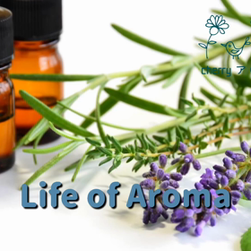 月曜日の雨とレモンの画像