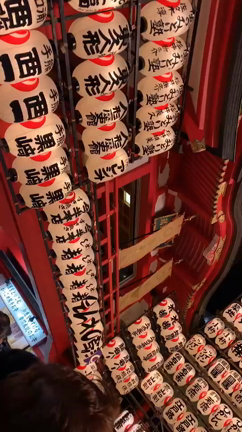 酉の市の記事動画