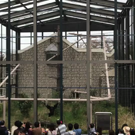 2018/04/05の記事動画