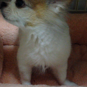 お、すごい！の画像