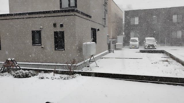 北海道⑤…お別れから福岡の日常への記事動画