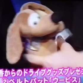 のん気な土曜日の画像