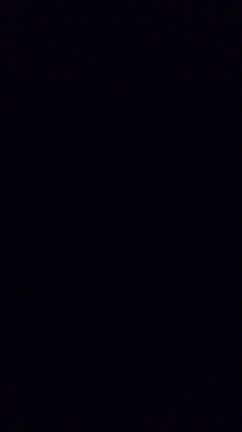 結局バタバタな１日の記事動画