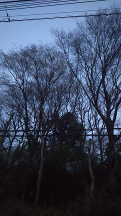 いつかの為に!!!の記事動画