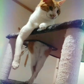 ぼちぼちの画像