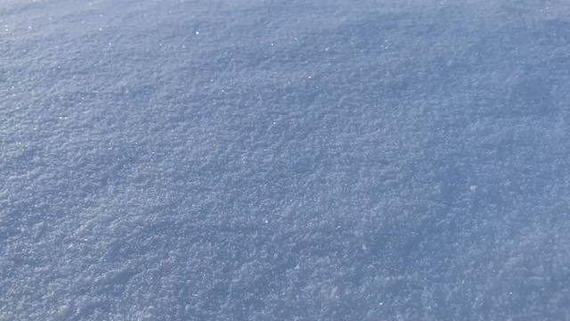 フィンランドの雪。の記事動画