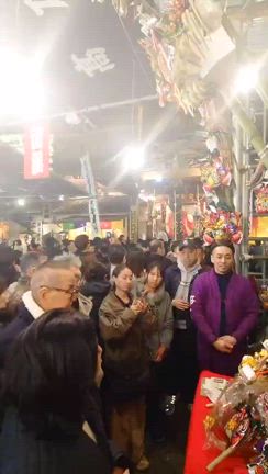 初参加!!酉の市!!柴犬＆豆柴ブリーダーの記事動画