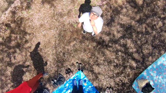 花見ドローンの記事動画