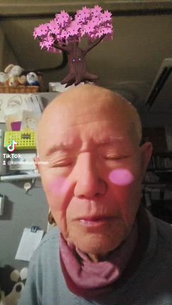 さくらが満開の記事動画
