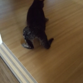 凄い回復力✌️の画像