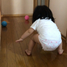 私の癒し♡の画像