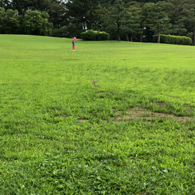 プールデビュー！の画像