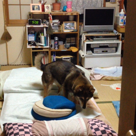 毎日の日課の画像