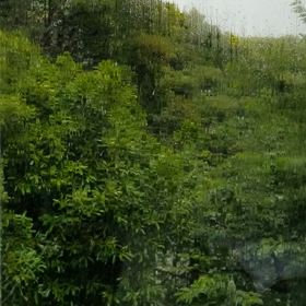 すごい雨と風…の画像