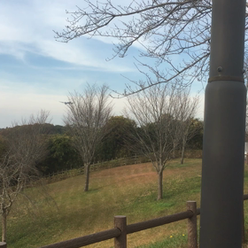 初！ブログ☆の画像