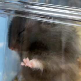 おねむ☺️の画像