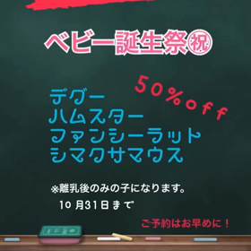 明日まで！の画像