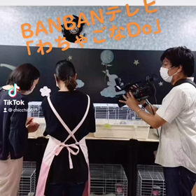 テレビ出演の画像