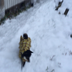 本格的な雪の画像