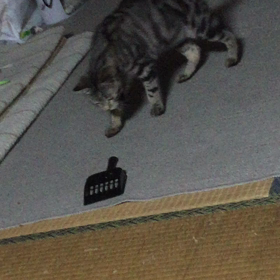 ごめんね〜の画像