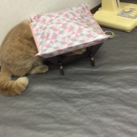 使い方間違ってますよ〜の画像