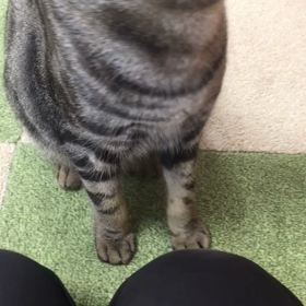 これってフミフミ？の画像