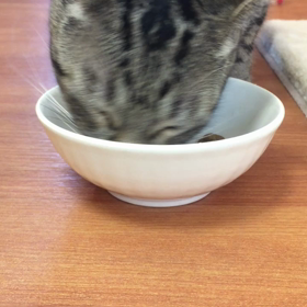 なんでかな？の画像