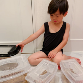 我が家の昆虫博士の画像