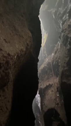 バリ島シャーマンリトリートの記事動画