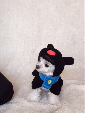 パパのイタズラに怒ってます(*｀へ´*)の記事動画