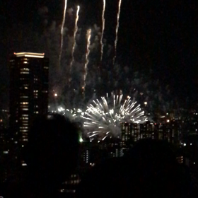 D3 移植周期スタート③の画像