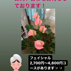 空きは？の画像