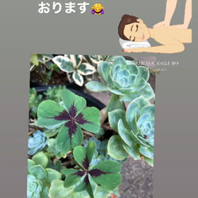 空きは？の画像