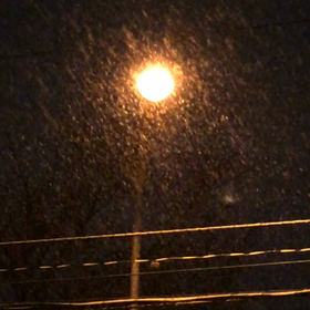 雪の降る夜に…の画像