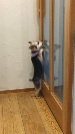 5月のお客様の記事動画