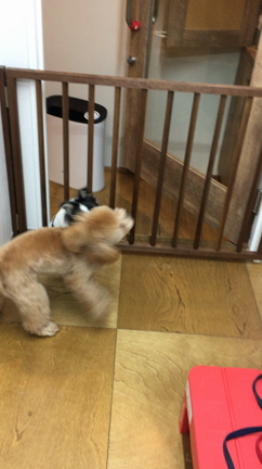 9月のお客様の記事動画