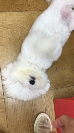 10月のお客様の記事動画