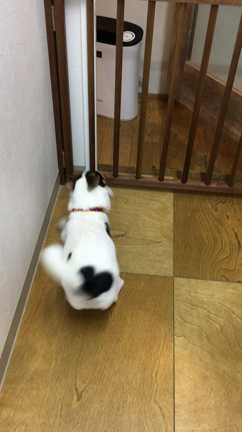10月のお客様の記事動画